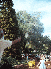 GIF by Sage Lilly