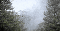 Music Video Rock GIF by Pure Noise Records