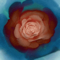 konczakowski beauty blue fall light GIF