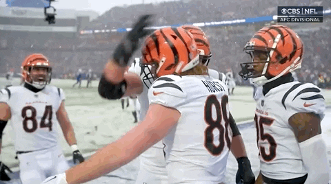 Nfl Playoffs Football GIF by NFL