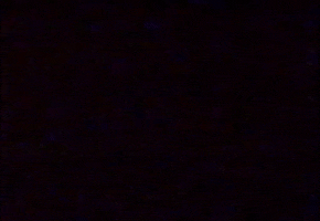 contemporary art GIF by G1ft3d