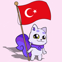 Flag Turkey GIF by Lucky Kat Studios