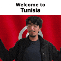 Tunisia Tn GIF
