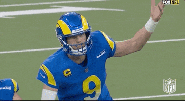 Regular Season Football GIF by NFL