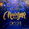 New Year Celebration GIF by echilibrultau