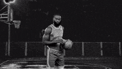 Boston Celtics Sport GIF by NBC Sports Boston