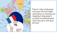 France GIF