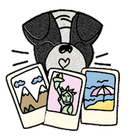 Happy Fun Sticker by Ivo Adventures