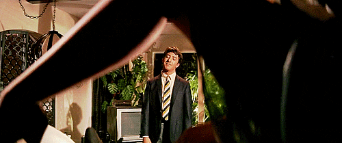 stop days GIF