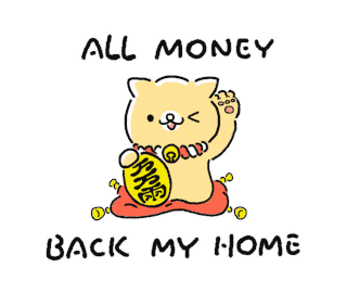 Cat Money Sticker
