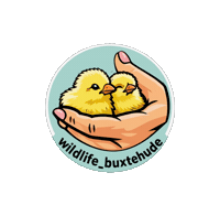 Logo Sticker
