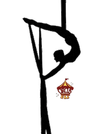Tecido Aerialsilks Sticker by Circusfitbr
