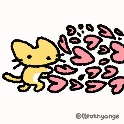 Cat Love GIF