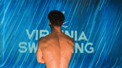 Uvaswimdive GIF by Virginia Athletics