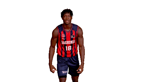Celebrar Liga Endesa Sticker by ACB