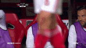 sl benfica football GIF by Sport Lisboa e Benfica