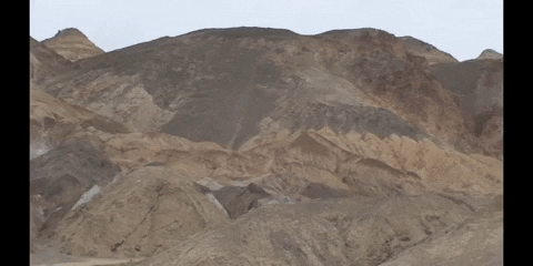 Education Biology GIF by DIIMSA Stock