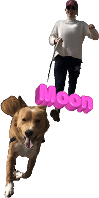 Moon Sticker by hamlet