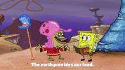 season 9 episode 23 GIF by SpongeBob SquarePants