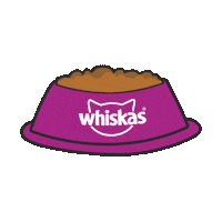 WhiskasBR cat gato wet dry Sticker