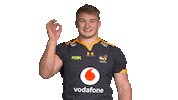 Rugby Sticker by Wasps