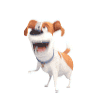 Illumination Entertainment Pets Movie Sticker by The Secret Life Of Pets