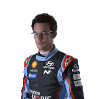 dust hyundai Sticker by FIA World Rally Championship