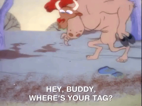 ren and stimpy nicksplat GIF