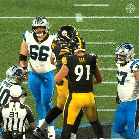 Nfl Preseason GIF by Pittsburgh Steelers