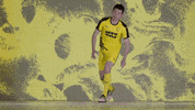 Slide Into Black And Yellow GIF by New Mexico United