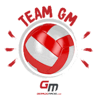 TeamGM volei bola jogadores teamgm Sticker