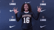 VUAthletics vuathletics vustunt GIF