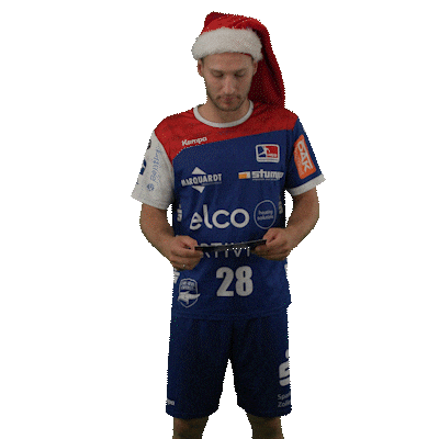 Handball Balingen Sticker by DAIKIN HBL