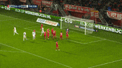 GIF by FOX Sports