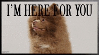 GIPHY PSA I'm Here For You