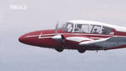 fly flying GIF