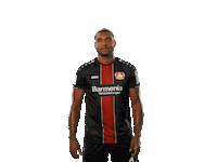 bundesliga yes Sticker by Bayer 04 Leverkusen