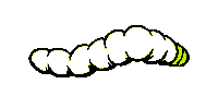 eatrotten bug grub maggot eatrotten Sticker