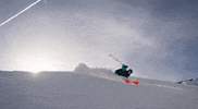 Soulride snow winter positive skiing GIF