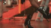 sargentoleon banda cumbia maria leon sargentoleon GIF