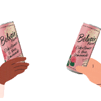 Sparkling Soft Drinks Sticker by Belvoir Lemonades & Cordials