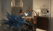 Excited Elevator GIF by GREY GOOSE® Vodka