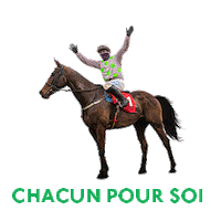 Sport Horse Sticker by HRI