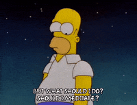 homer simpson GIF