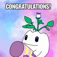 Excited Happy Birthday GIF by Magic Eden