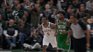 Nba Playoffs Sport GIF by NBA