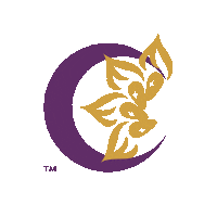 Cosmicures newreel micalepavon cosmicures Sticker