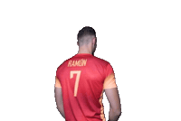 Volleyball Jordi Ramon Sticker by RedLynxes