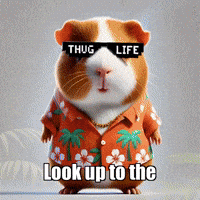 GIF by Guinea Gambino