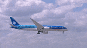 Plane Airplane GIF by Safran